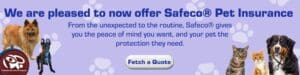 Pet Insurance from Safeco